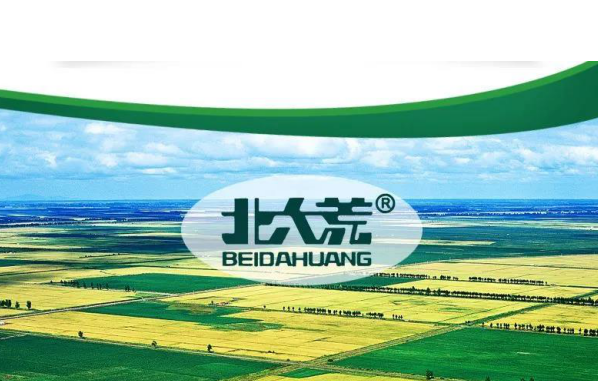 数字化转型中国行丨北大荒粮食集团签约云之家