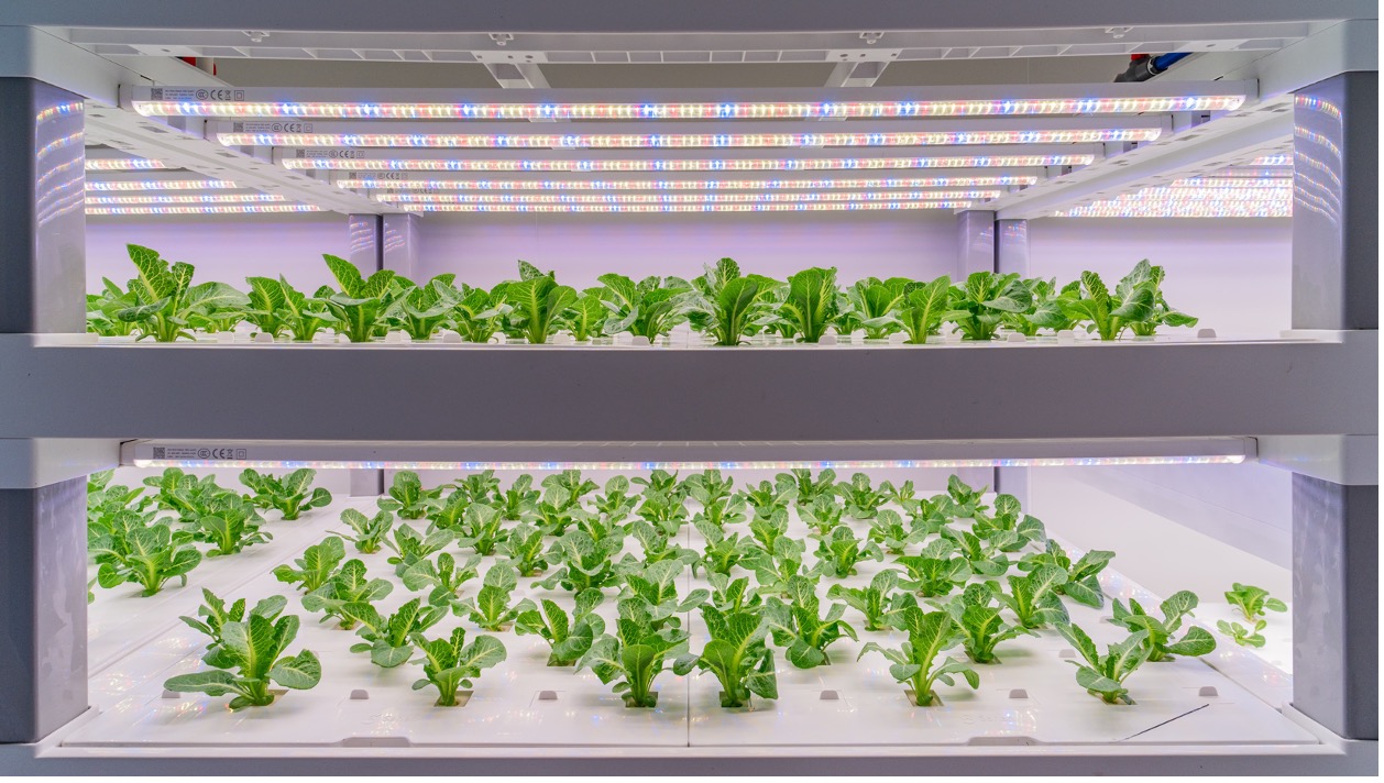 用 AI 种菜的农业科学家们，试图发起一场产业革命